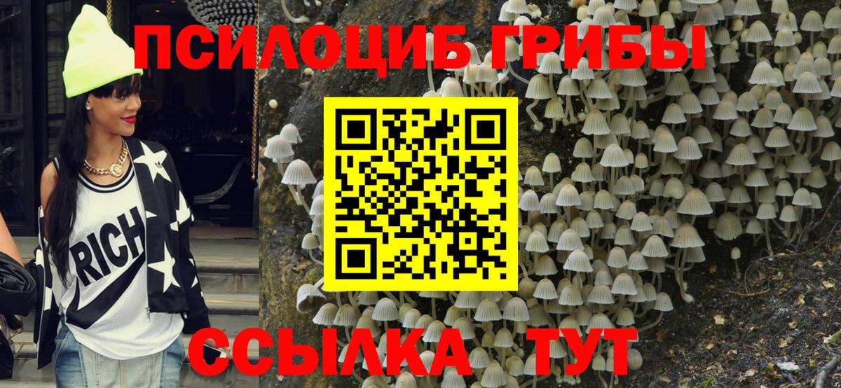 продажа наркотиков  Вход с VPN  Псилоцибиновые грибы MAGIC MUSHROOMS  Кстово  Галлюциногенные грибы мухоморы 